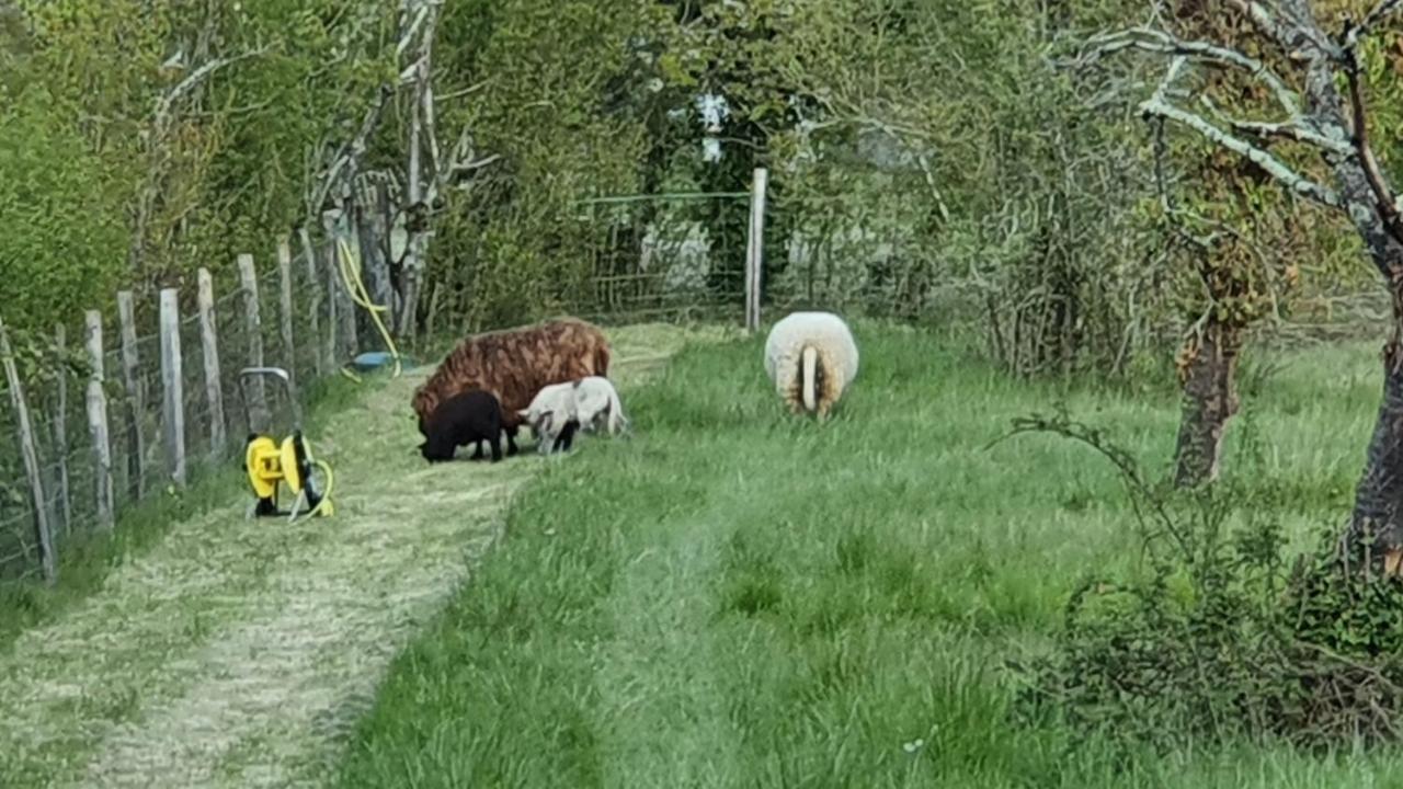 Grande Maison Avec Jardin, Animaux,Au Calme Yviers エクステリア 写真