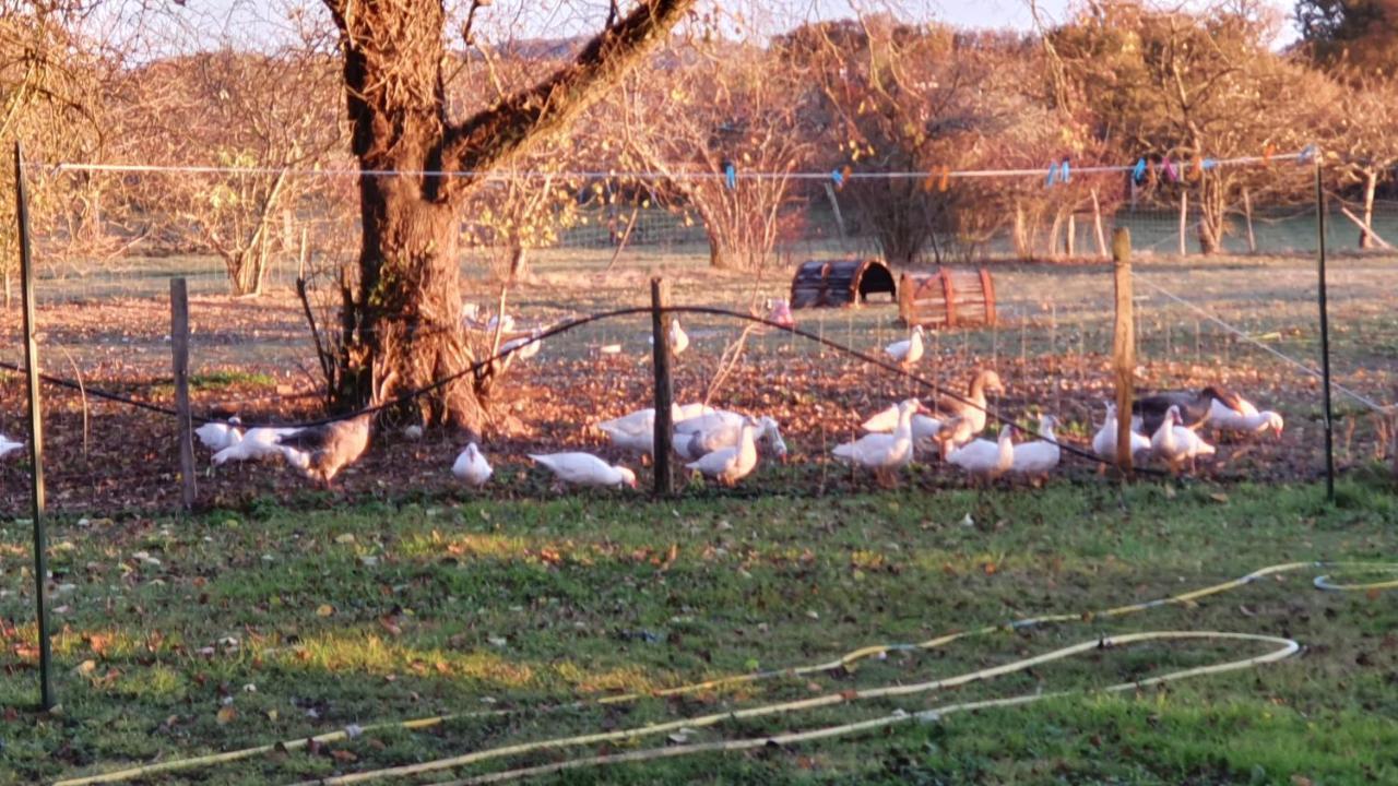 Grande Maison Avec Jardin, Animaux,Au Calme Yviers エクステリア 写真